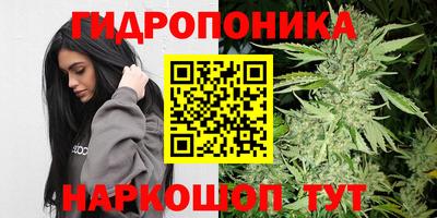 меф Лесосибирск
