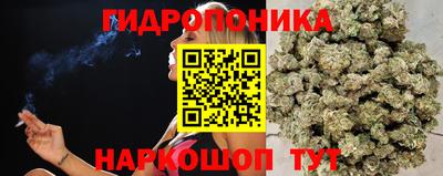 меф Лесосибирск