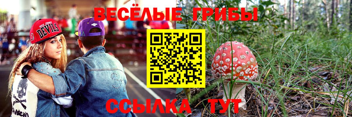 Псилоцибиновые грибы MAGIC MUSHROOMS Домодедово