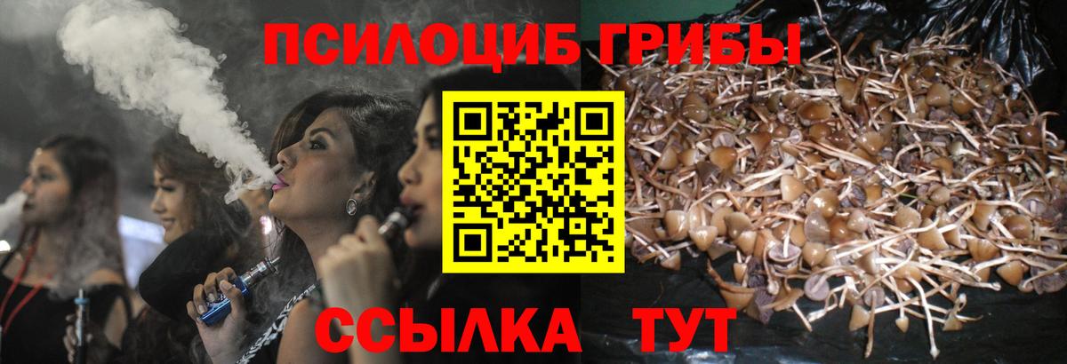 Псилоцибиновые грибы прущие грибы  Галлюциногенные грибы GOLDEN TEACHER  Домодедово  Вход с VPN 